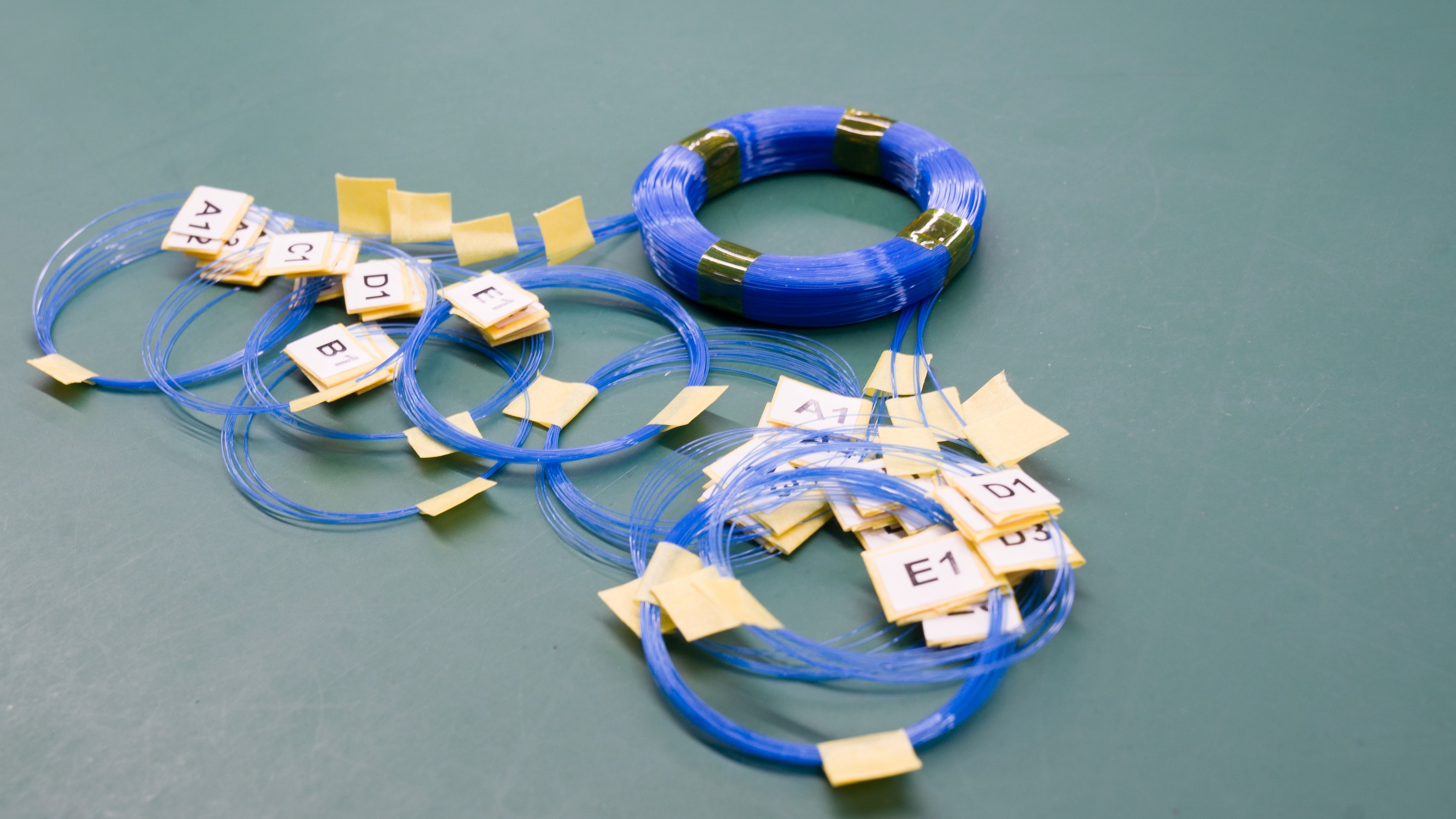 fiber optic loop