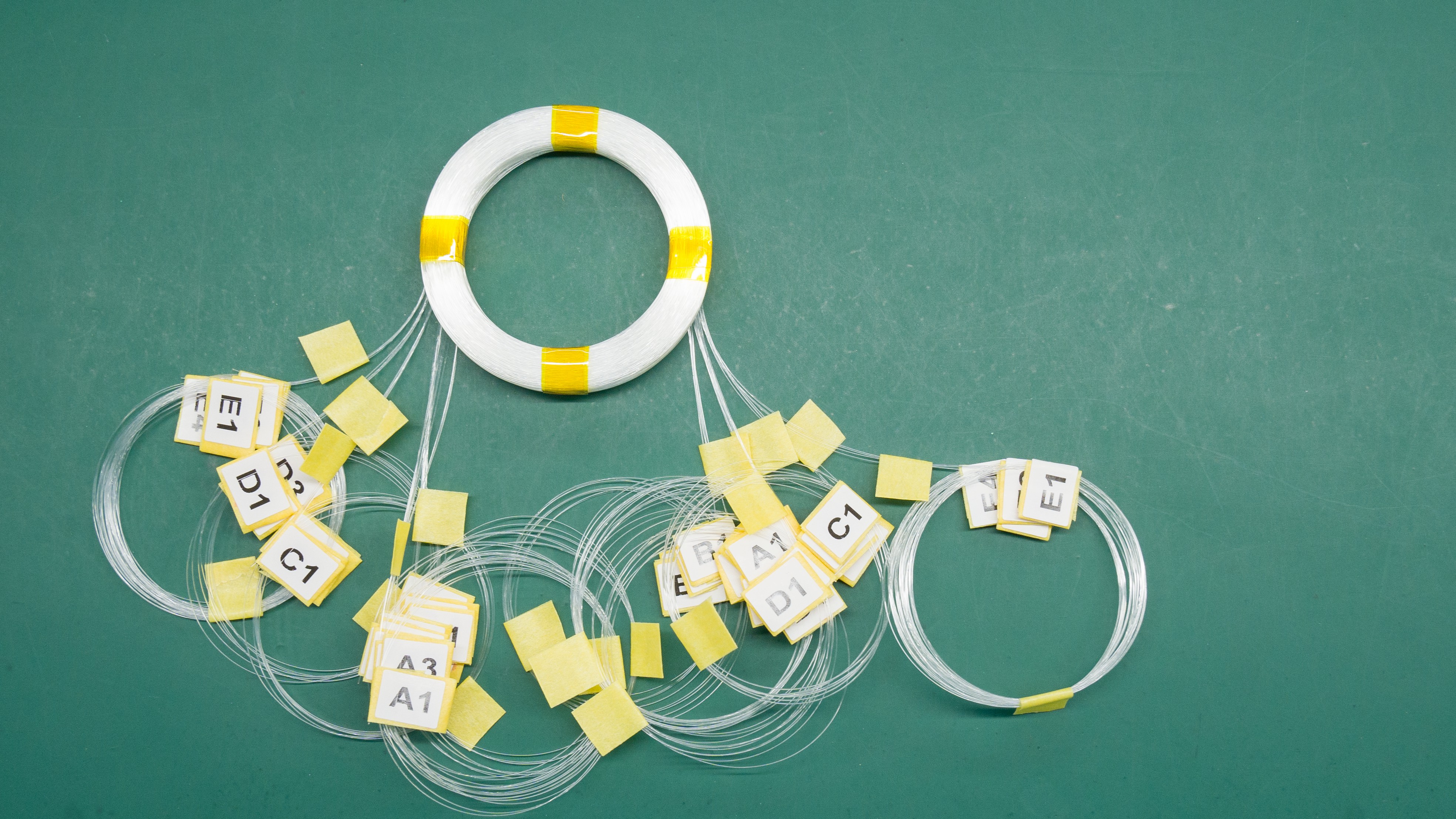 fiber optic loop